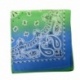 Bandana Bleu et Vert