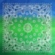 Bandana Bleu et Vert