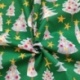 Tissu Coton Imprimé Solveig Vert 