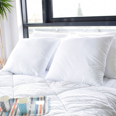 Lot de 2 Oreillers Moelleux 60x60