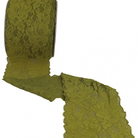 Dentelle élastique roses