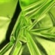 Tissu Lamé Enduit Vert Nil 