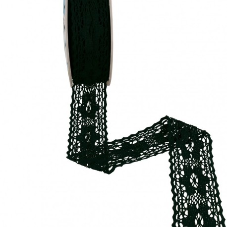 Dentelle entre deux fleurs