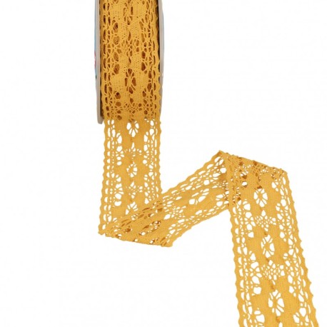 Dentelle entre deux fleurs