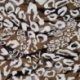 Tissu Popeline de Viscose Imprimée Leopard Marron 