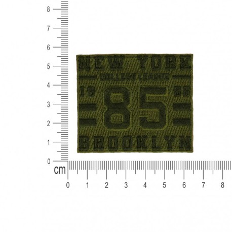 Ecusson new york 85 - Vert