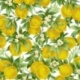 Tissu Toile Eureka Citron 