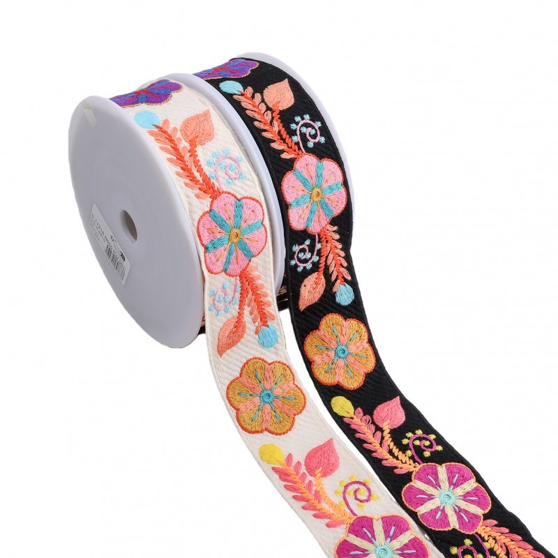 Galon brode multicolore