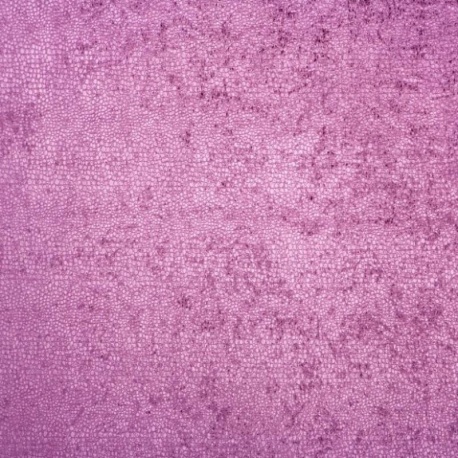 Tissu Velours Frappé Fauna