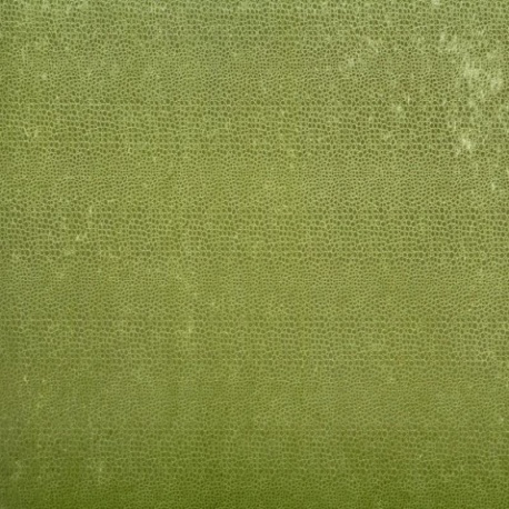 Tissu Velours Frappé Fauna