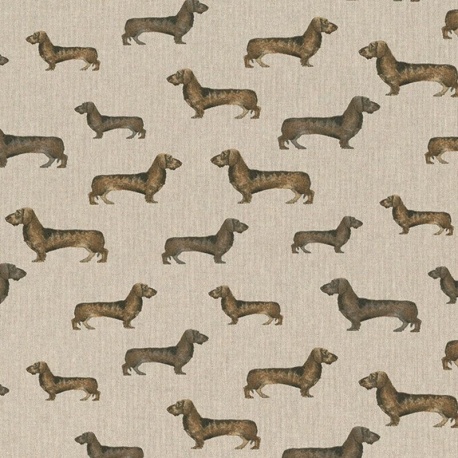 Tissu Teckel Fond Coloris Lin 