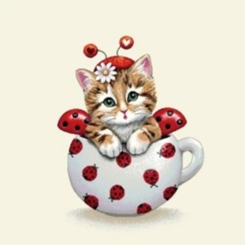 Coupon Chat Tasse 