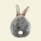 Coupon Lapin de Dos 