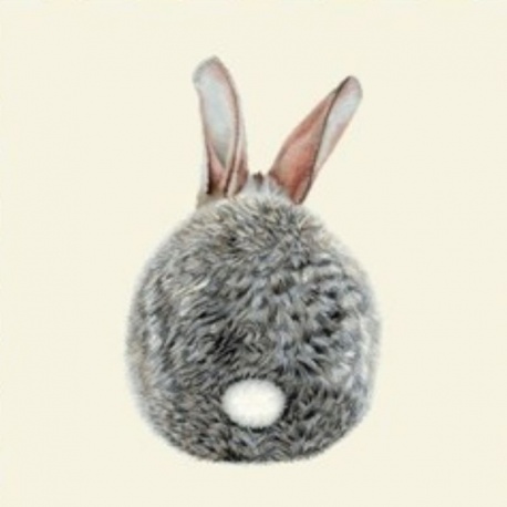 Coupon Lapin de Dos 