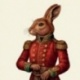 Coupon Lapin 