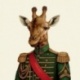 Coupon Girafe