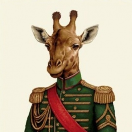 Coupon Girafe