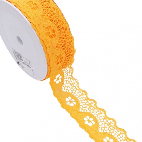 Dentelle rachel fleurs
