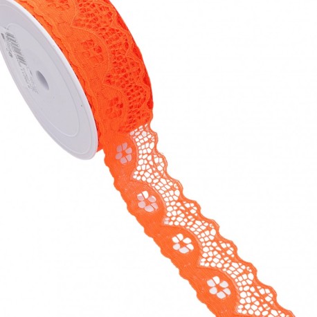 Dentelle rachel fleurs
