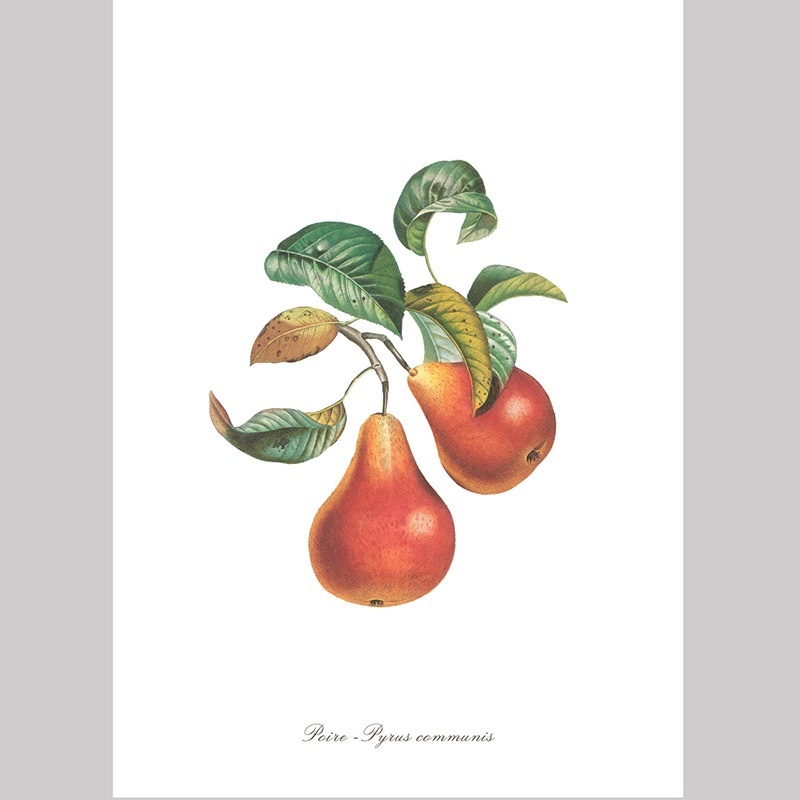 Torchon Imprimé Poire