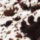 Tissu Fausse Fourrure Cow Ras Marron 