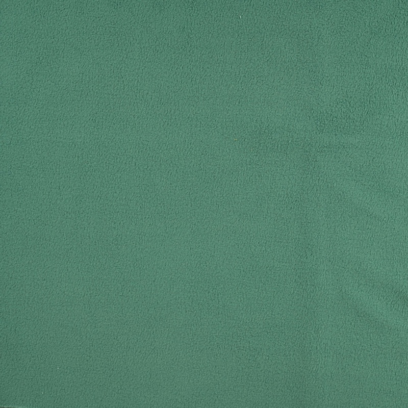 Tissu Polaire Double Face Menthe