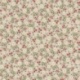 Tissu Edelweiss Field Fond Coloris Lin 