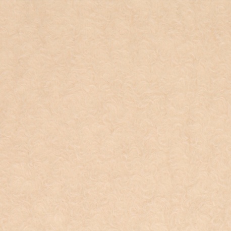 Tissu Brush Ecru 