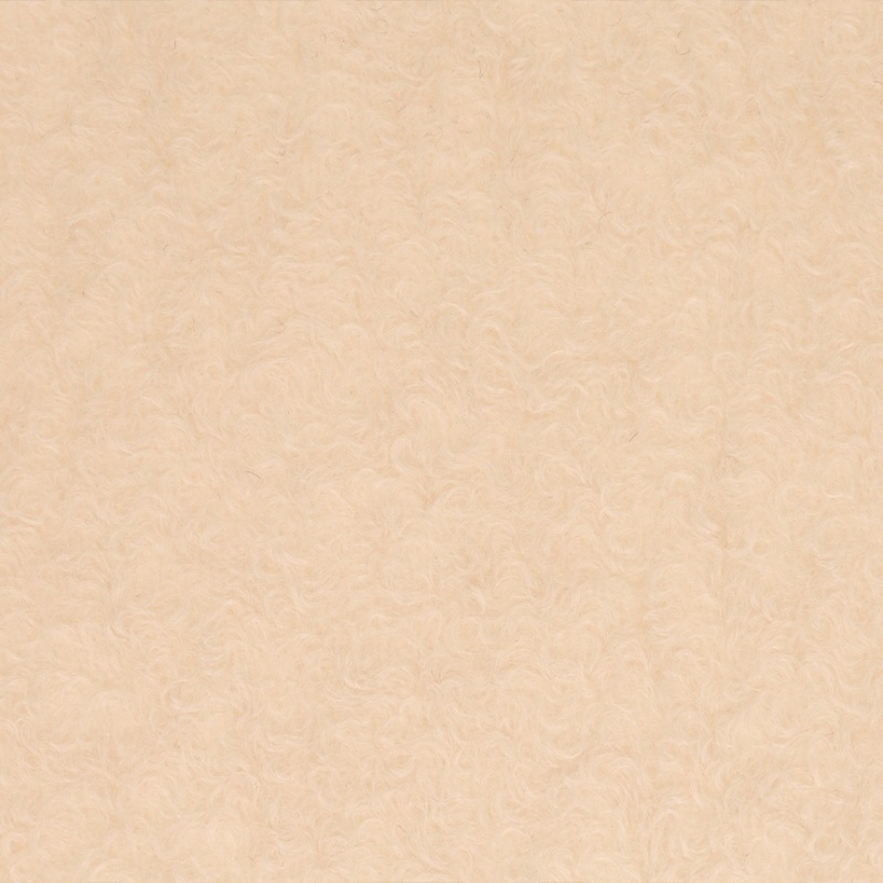 Tissu Brush Ecru 