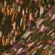 Tissu Satin Touché Velours Imprimé Kaki