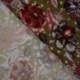 Tissu Serge de Viscose Imprimé Floral Kaki 
