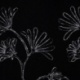 Tissu Caban Brodé Noir
