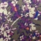 Tissu Satin Imprimé Floral Violet