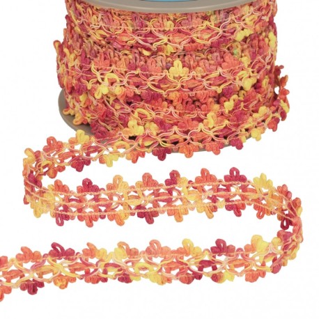 Galon fleurs en degrade de couleurs