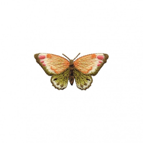 B ecusson libellule et papillon