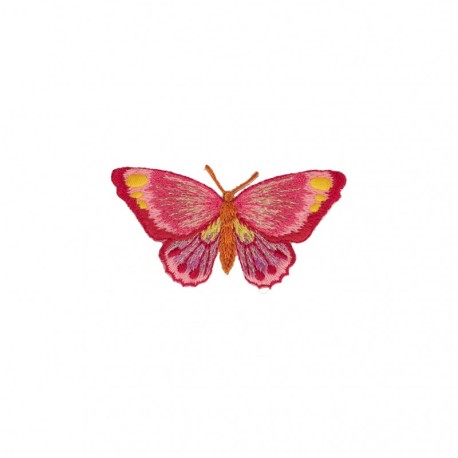 B ecusson libellule et papillon