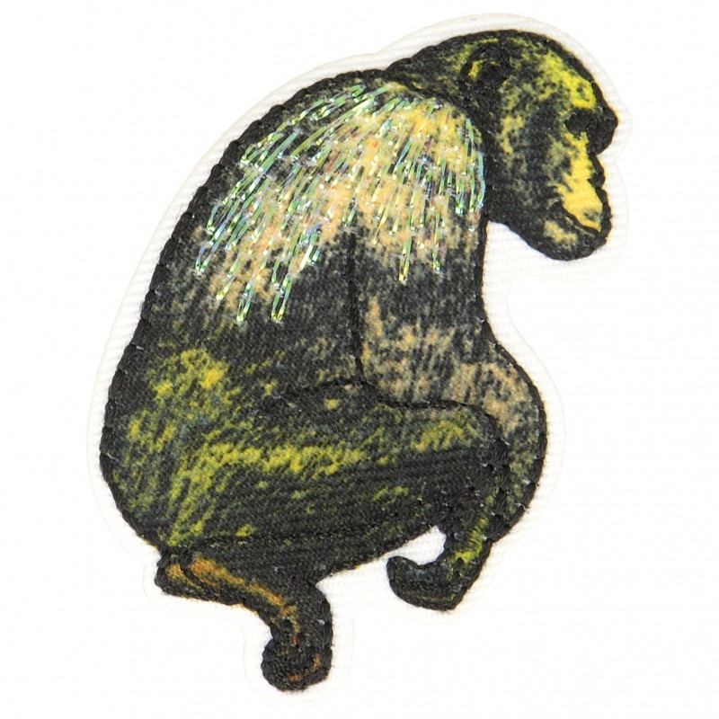 4 images 1 mot 7 lettres poule singe