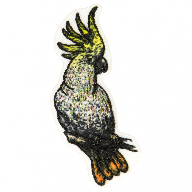 4 images 1 mot 7 lettres poule singe