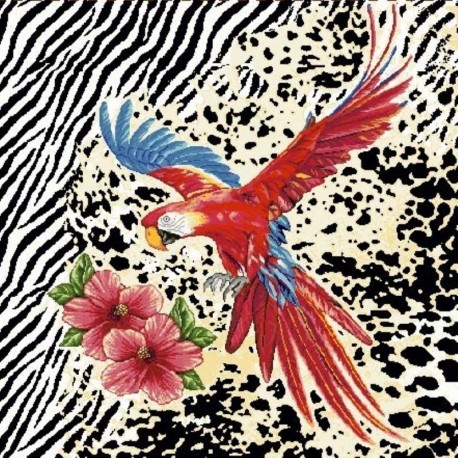 Coupon de tissu Arco Oiseau 45x45 cm