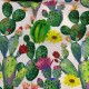 Tissu Tampico Imprime Cactus  