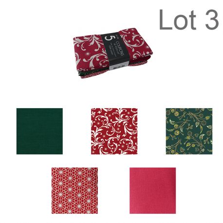 Un Lot de 5 Coupons de Tissu Amazing Christmas Multico 45x55 cm