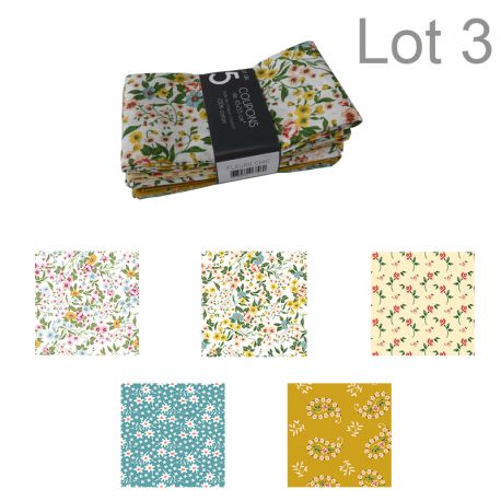 Un Lot de 5 Coupons de Tissu Fleur Chic Multico 