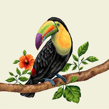 Coupon de Tissu Toucan 