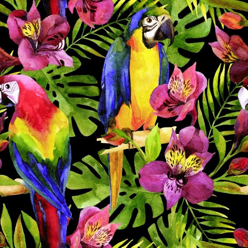 Tissu Popeline Parrots Imprimé Perroquets Multico