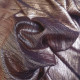 Tissu Jersey Foil Bronze 