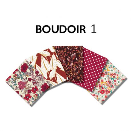 Un Lot de 5 Coupons de Tissu Boudoir Multico 45x55 cm