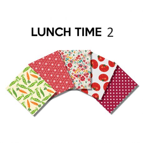 Un Lot de 5 Coupons de Tissu Lunch Time Multico 45x55 cm