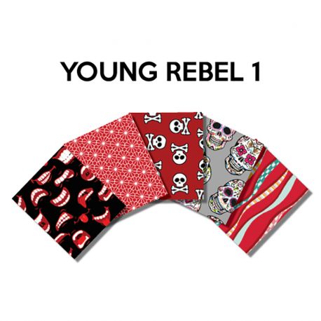 Un Lot de 5 Coupons de Tissu Young Rebel Multico 45x55 cm