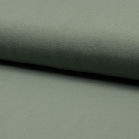 Tissu Jersey Coton Bio Uni Menthe 