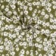 Tissu Crêpe Fleur Kaki 